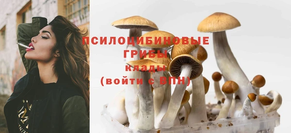 соль ск Абдулино