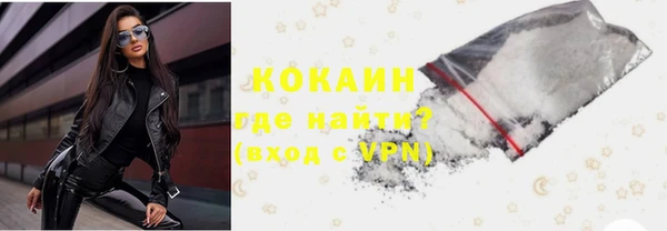 индика Алексеевка