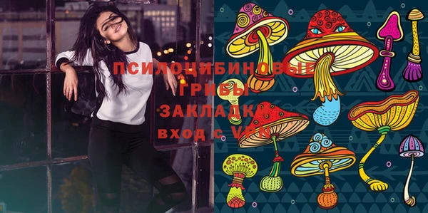 бутират Алзамай