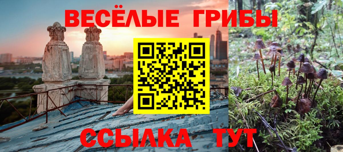 Котельники  Псилоцибиновые грибы Magic Shrooms  Вход с VPN 